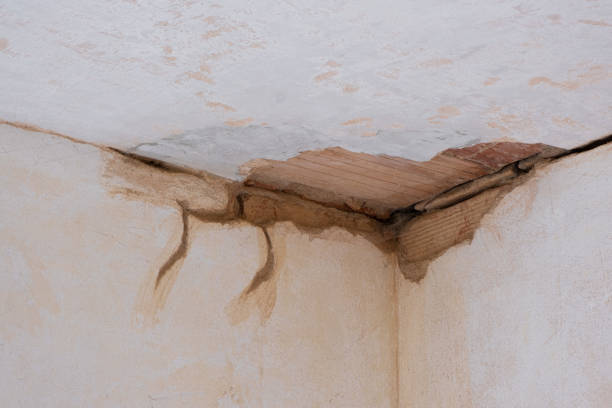 Reliable Arkansas City, KS Water damage restoration Solutions